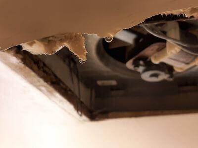 Professional water damage restoration services in Doral